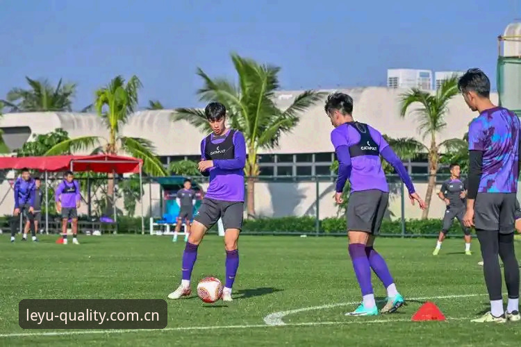 乐鱼体育平台功能使用教程与深度测评